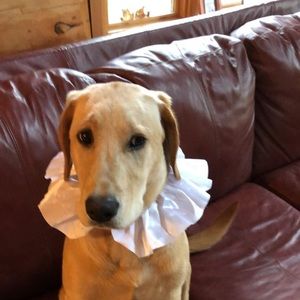 Meet your Posher, Jack